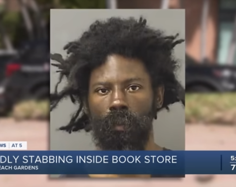 alleged homeless stabber mugshot
